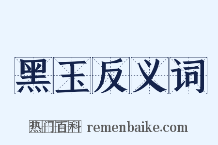 黑玉反义词是什么意思的图片